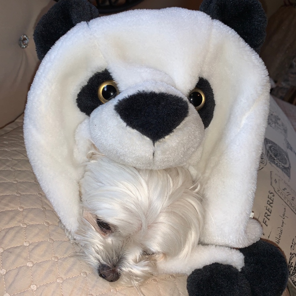 Panda Hat - Picture 3 of 3